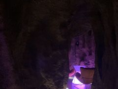 -碧涛阁·泡泡海洋·汤泉洗浴(王府花园店)