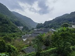 -雁南飞茶田景区