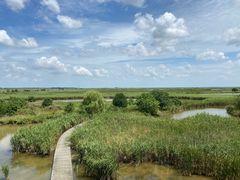 -盐城丹顶鹤湿地生态旅游区