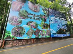 -西双版纳原始森林公园