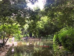 -成都市活水公园