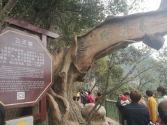 -塔云山