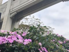 -梧桐山风景名胜区