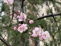 -北京清河万象汇