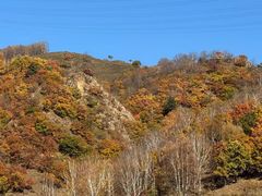 -塞罕坝国家级自然保护区