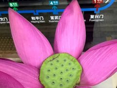 -知春路(地铁站)