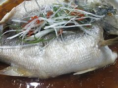 -四小姐的店(泉舜店)