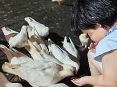 -南昌之星游乐场