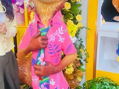 -寰映影城(朝阳合生汇杜比影院店)