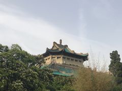 -武汉大学-樱园