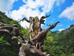 门面-龙湾潭国家森林公园