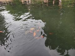 -杭州西湖博物馆总馆