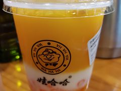 -娃哈哈·奶茶(武林店)