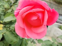 -北京植物园南门售票处