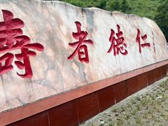 -长寿村