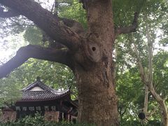 -杭州黄龙洞