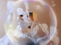 -北京园博大酒店