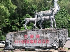 -长沙黑麋峰国家森林公园