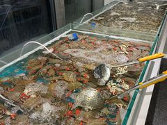 -威海蓝海御华大饭店·蓝钻美食自助百汇