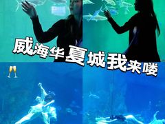 -《神游传奇》秀