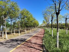 -天津东丽湖风景区