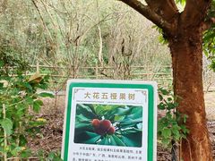 -南长河公园