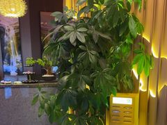 -唐元阁·影院足道SPA·养生会所