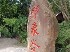 -野象谷景区