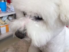 -宠福鑫康馨动物医院·骨科·眼科