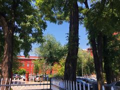 -北京德尔康尼骨科医院