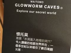 -怀托摩萤火虫洞