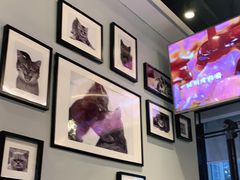 -猫抓烤肉(春熙路店)
