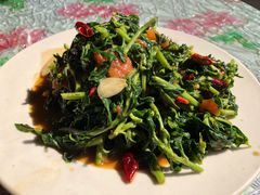 炒枸杞尖-龙姐私房菜(和顺古镇店)