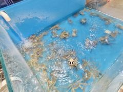 -东方红海鲜百汇(国际大厦店)
