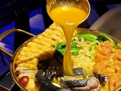 -Darling Queen·Mini·Live·House