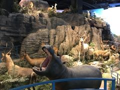 -陕西自然博物馆