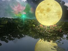 -北陵公园