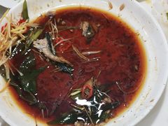 -煲来饱去冷水鱼