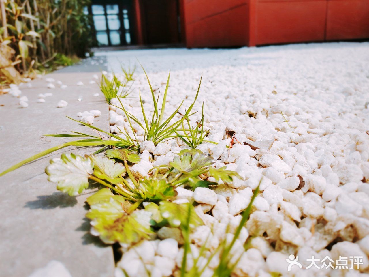 写于2019.03.12 公园里处处都是可以记录的景色