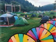 -武陵山森林公园