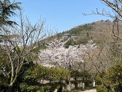 -石老人观光园