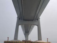 -招商蛇口邮轮母港(观光客运)