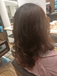 -Mentor Hair Salon