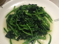 iphone_upload_pic-掌柜的店·河南菜(新天地店)