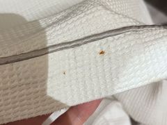 -珠海拱北口岸希尔顿欢朋酒店