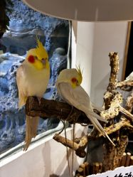 -Zoolung Zoolung动物主题公园(海信广场店)