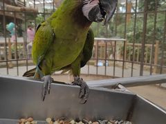 -南宫五洲植物乐园