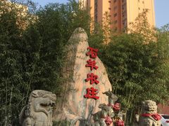 -石羊农庄