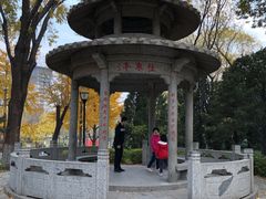 -玲珑塔公园