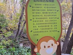 -大岭沟猕猴桃谷风景区